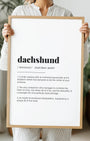 Definition Poster of Dachshund on Gallery White background