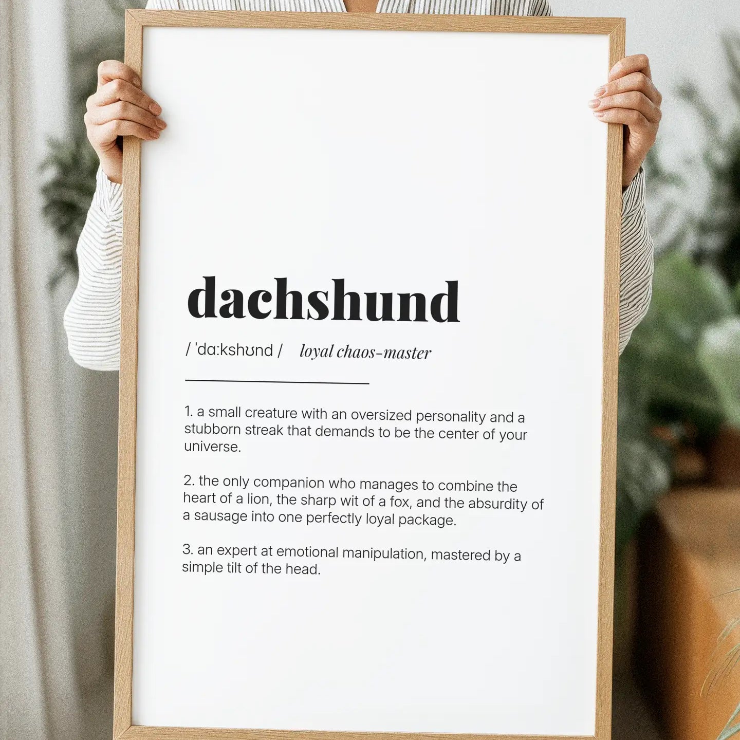 Definition Poster of Dachshund on Gallery White background