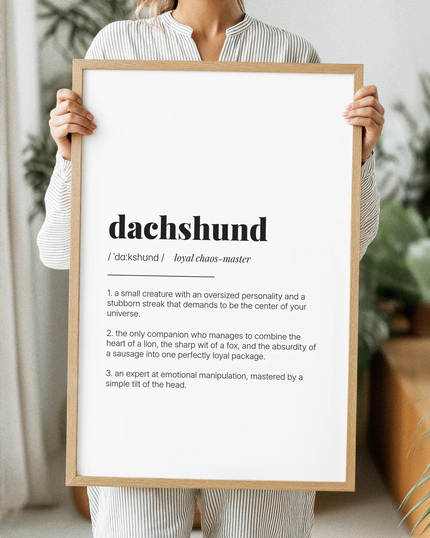 Definition Poster of Dachshund on Gallery White background