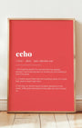 Definition Poster of Echo on Strawberry background