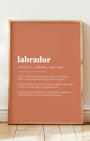 Definition Poster of Labrador on Terracotta background