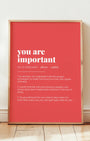 Definition Poster of You are<br />important on Strawberry background